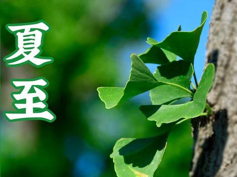 今日夏至 丨炎炎夏日致敬奋斗在工地的广杰家人们！